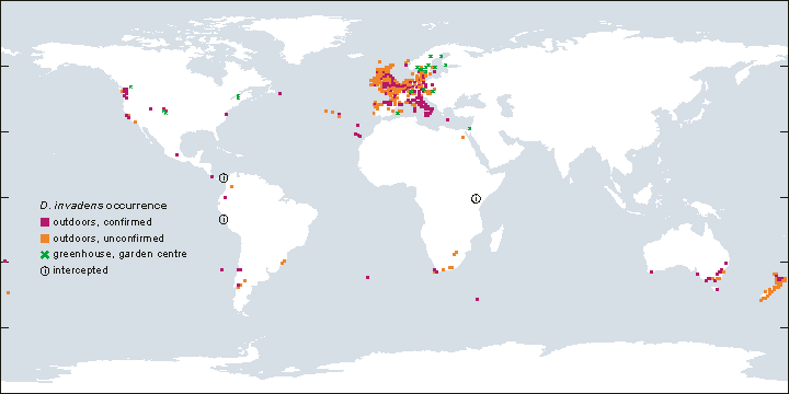 [Distribution map of Deroceras invadens]