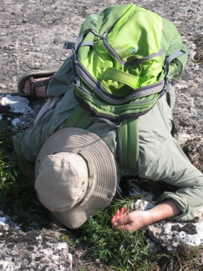 [Heike snail hunting, Öland, 2019]